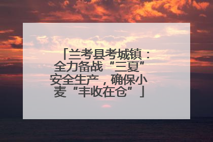 兰考县考城镇：全力备战“三夏”安全生产，确保小麦“丰收在仓”