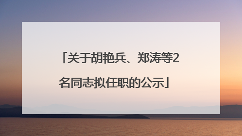 关于胡艳兵、郑涛等2名同志拟任职的公示
