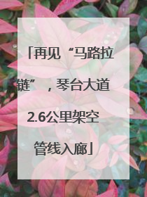 再见“马路拉链”，琴台大道2.6公里架空管线入廊