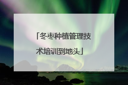 冬枣种植管理技术培训到地头
