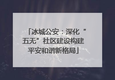 冰城公安：深化“五无”社区建设构建平安和谐新格局