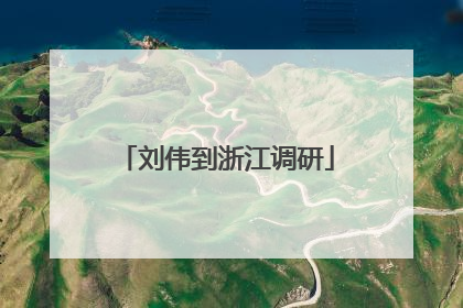 刘伟到浙江调研