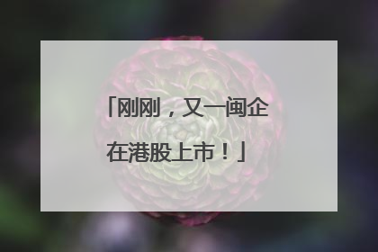 刚刚，又一闽企在港股上市！