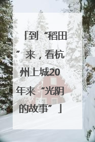 到“稻田”来，看杭州上城20年来“光阴的故事”