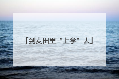 到麦田里“上学”去