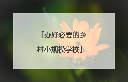 办好必要的乡村小规模学校