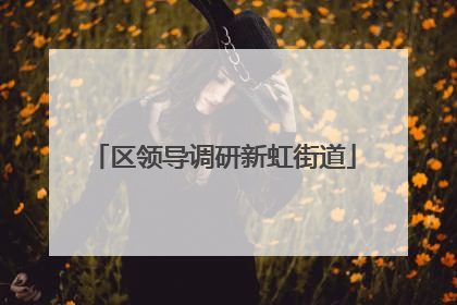 区领导调研新虹街道