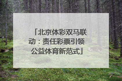 北京体彩双马联动：责任彩票引领公益体育新范式