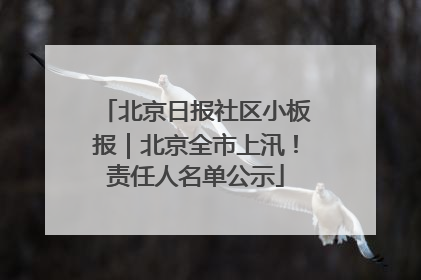 北京日报社区小板报｜北京全市上汛！责任人名单公示