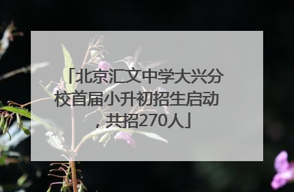 北京汇文中学大兴分校首届小升初招生启动，共招270人