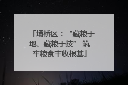 埇桥区：“藏粮于地、藏粮于技” 筑牢粮食丰收根基