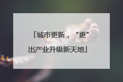 城市更新，“更”出产业升级新天地