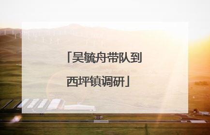 吴毓舟带队到西坪镇调研