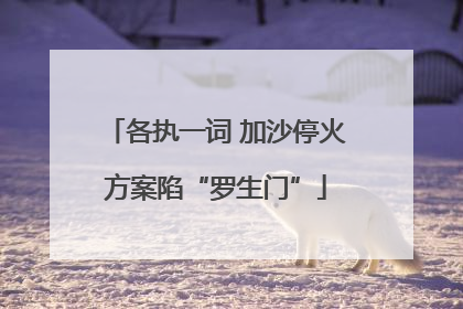 各执一词 加沙停火方案陷“罗生门”