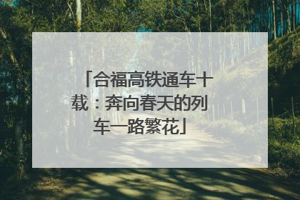 合福高铁通车十载：奔向春天的列车一路繁花