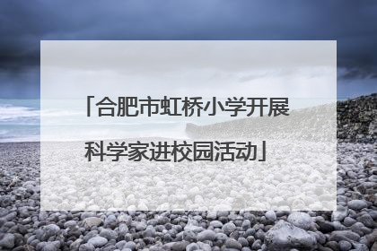 合肥市虹桥小学开展科学家进校园活动