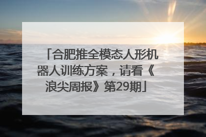 合肥推全模态人形机器人训练方案，请看《浪尖周报》第29期