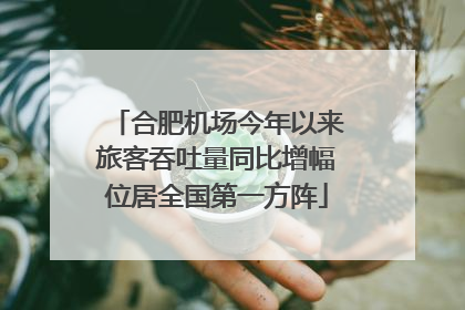 合肥机场今年以来旅客吞吐量同比增幅位居全国第一方阵