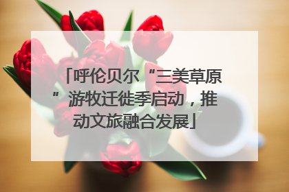 呼伦贝尔“三美草原”游牧迁徙季启动，推动文旅融合发展