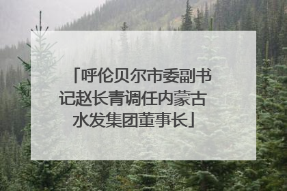 呼伦贝尔市委副书记赵长青调任内蒙古水发集团董事长