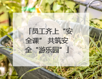 员工齐上“安全课” 共筑安全“游乐园”