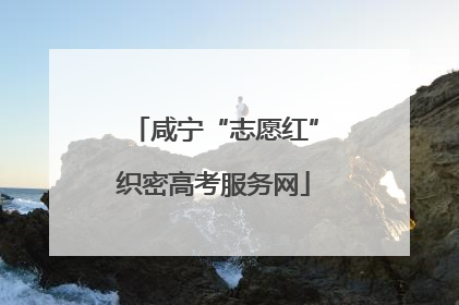 咸宁“志愿红”织密高考服务网
