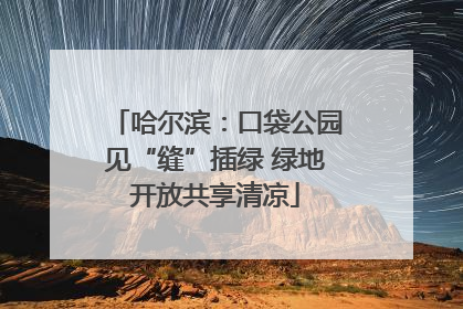 哈尔滨：口袋公园见“缝”插绿 绿地开放共享清凉
