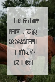商丘市睢阳区：麦浪滚滚战正酣 干群同心保丰收