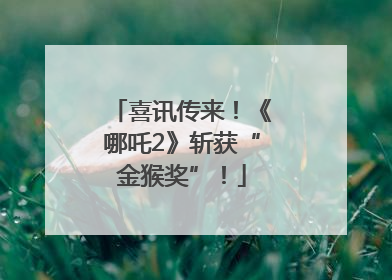 喜讯传来！《哪吒2》斩获“金猴奖”！