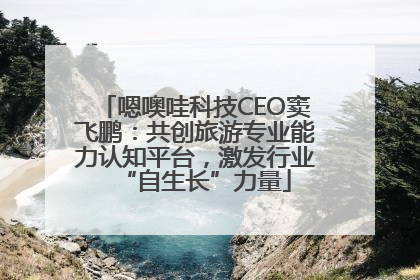 嗯噢哇科技CEO窦飞鹏：共创旅游专业能力认知平台，激发行业“自生长”力量