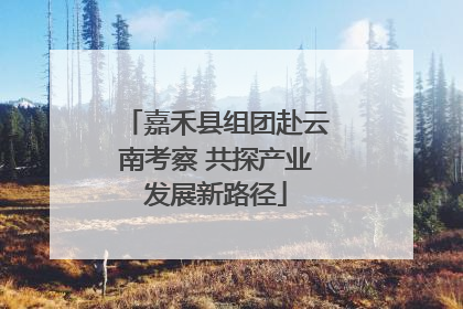 嘉禾县组团赴云南考察 共探产业发展新路径