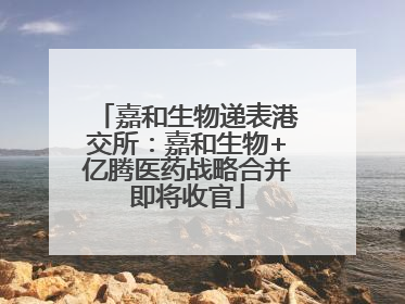 嘉和生物递表港交所：嘉和生物+亿腾医药战略合并即将收官