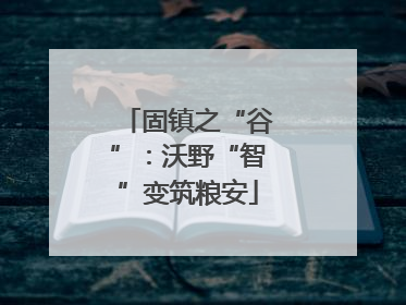 固镇之“谷”：沃野“智”变筑粮安