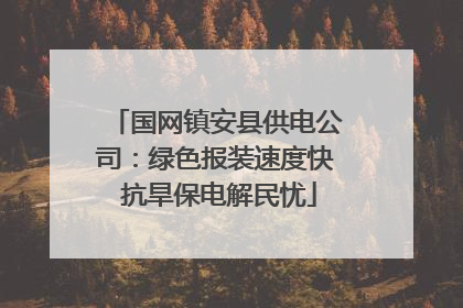 国网镇安县供电公司：绿色报装速度快 抗旱保电解民忧