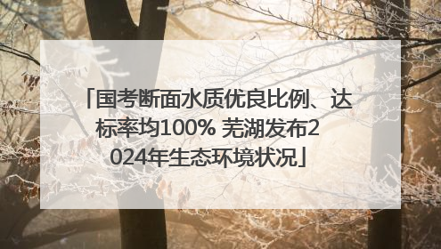 国考断面水质优良比例、达标率均100% 芜湖发布2024年生态环境状况