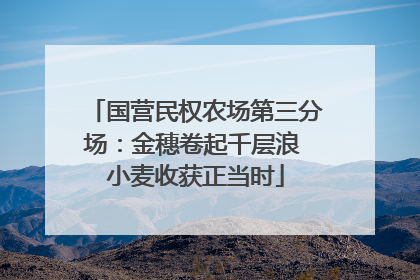 国营民权农场第三分场：金穗卷起千层浪 小麦收获正当时