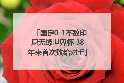 国足0-1不敌印尼无缘世界杯 38年来首次败给对手