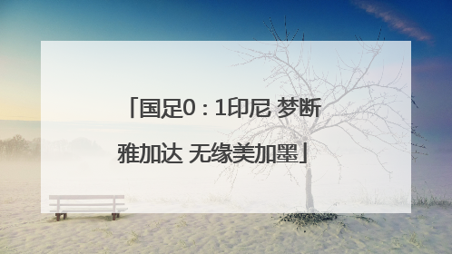 国足0∶1印尼 梦断雅加达 无缘美加墨