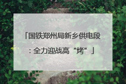 国铁郑州局新乡供电段：全力迎战高“烤”