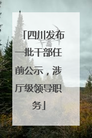 四川发布一批干部任前公示，涉厅级领导职务