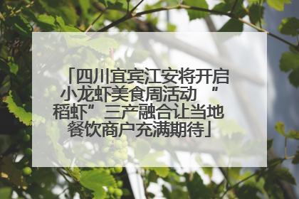 四川宜宾江安将开启小龙虾美食周活动 “稻虾”三产融合让当地餐饮商户充满期待