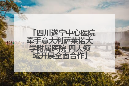 四川遂宁中心医院牵手意大利萨莱诺大学附属医院 四大领域开展全面合作