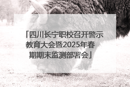 四川长宁职校召开警示教育大会暨2025年春期期末监测部署会