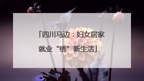 四川马边：妇女居家就业“绣”新生活