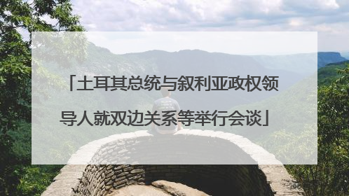 土耳其总统与叙利亚政权领导人就双边关系等举行会谈