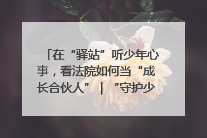 在“驿站”听少年心事，看法院如何当“成长合伙人”｜“守护少年的微笑” 探访记