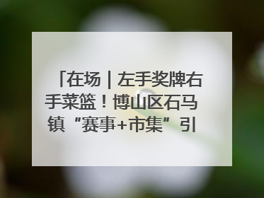 在场｜左手奖牌右手菜篮！博山区石马镇“赛事+市集”引燃周末经济