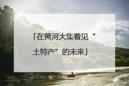 在黄河大集看见“土特产”的未来