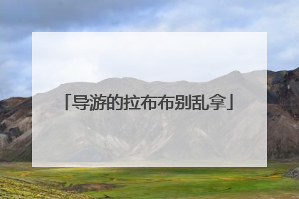 导游的拉布布别乱拿
