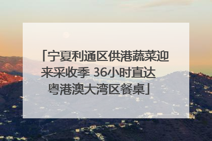 宁夏利通区供港蔬菜迎来采收季 36小时直达粤港澳大湾区餐桌